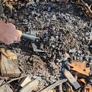 Birch Bark Oil Extract