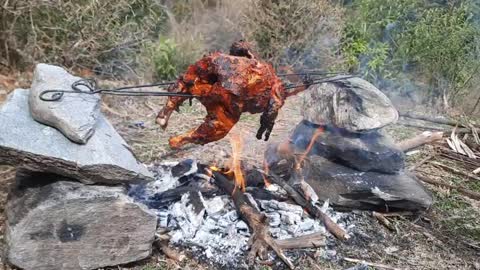 Cooking Chicken in the wild