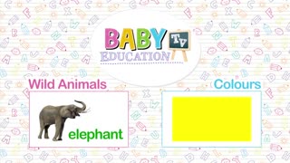 Baby learning animals