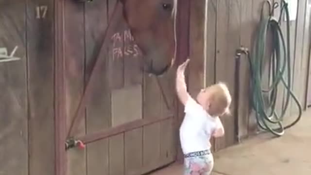 Little Girl Horse friend!!!