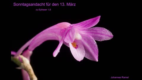 Sonntagsandacht für den 13. März