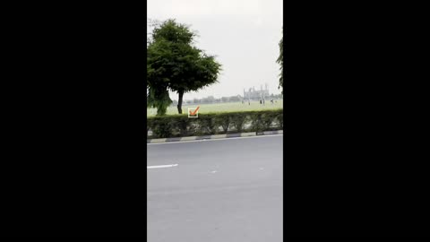 Shorts Video