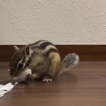 What’s going on here? Is she so so hungry?