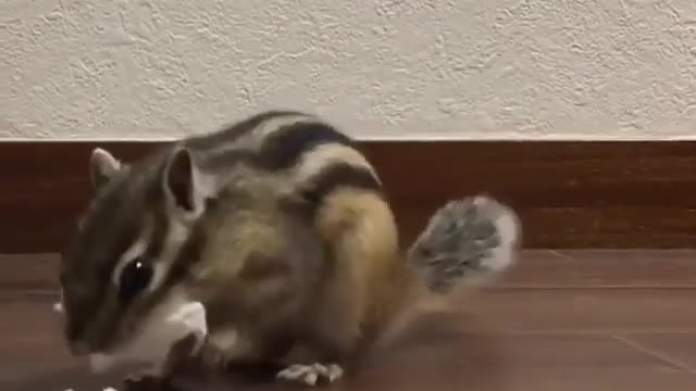 What’s going on here? Is she so so hungry?