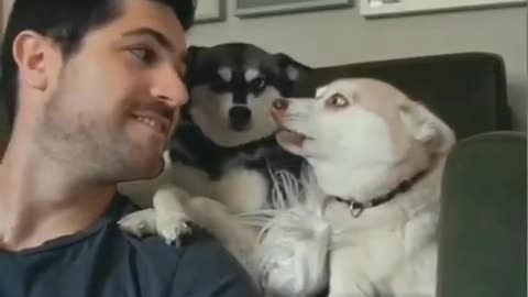 funny video