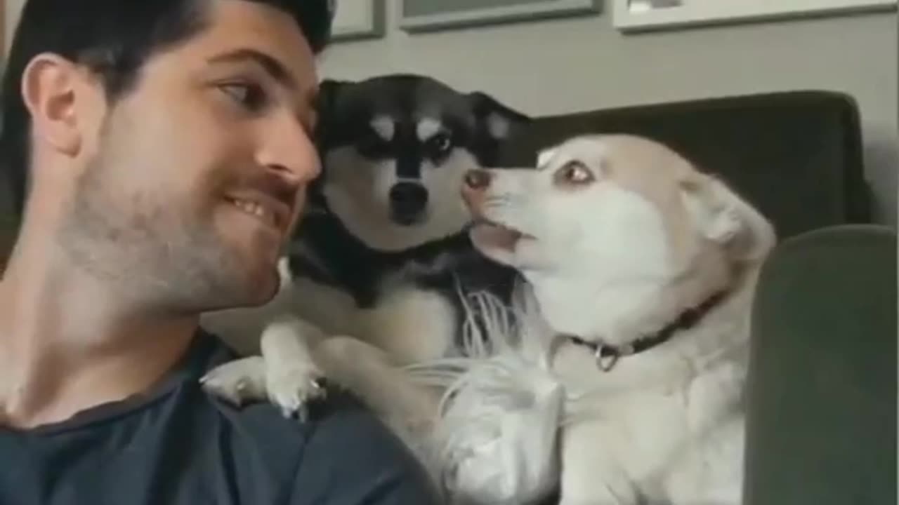 funny video