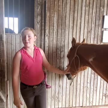 How To Tie a Rope Halter