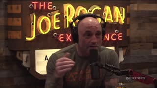 Joe Rogan discusses Jan. 6 with Hotep Jesus