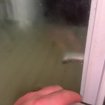 Snow update from the farm.