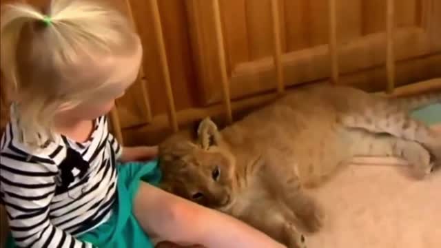 Baby Girl Playing with her Tiger Baby