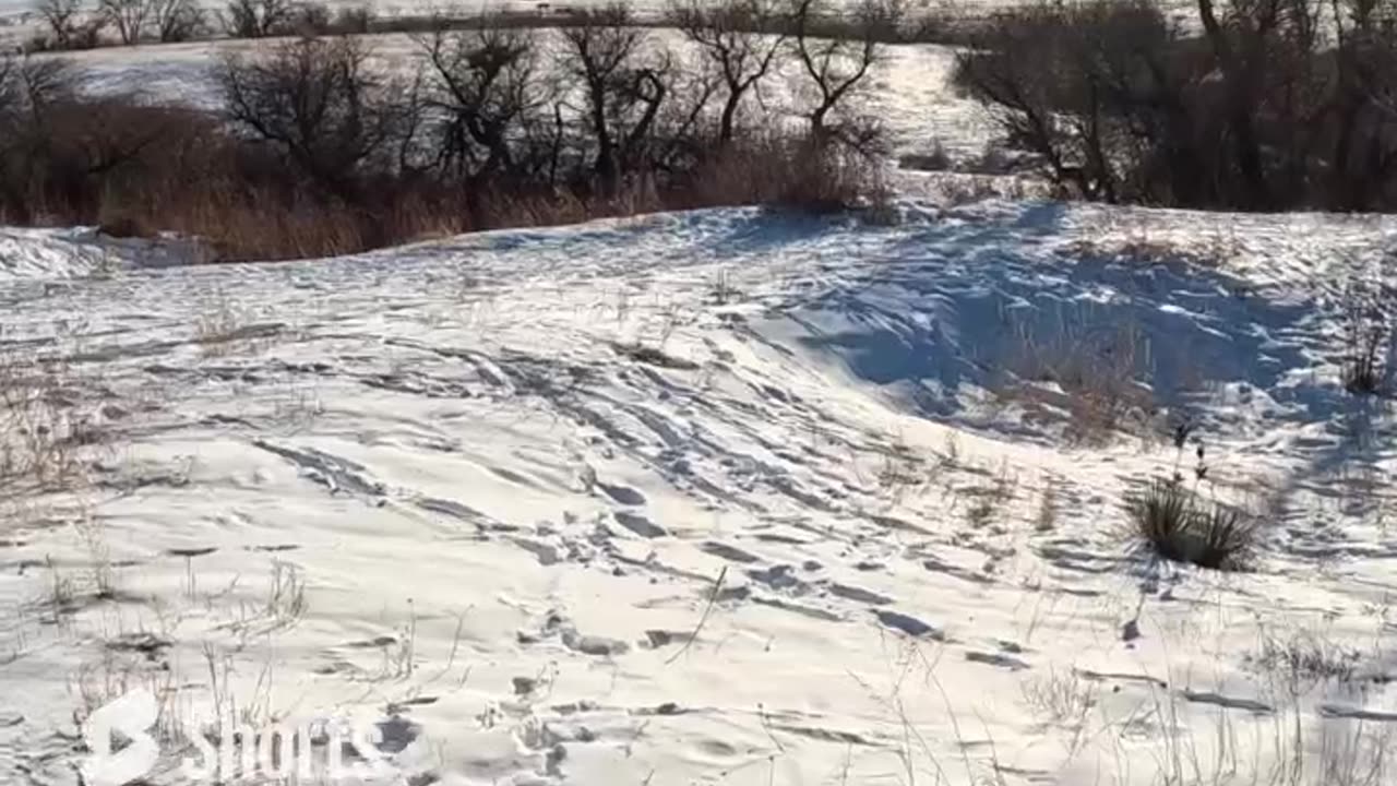 Colorado Pheasant Hunting 23I4