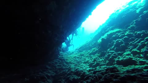 Amazing Underwater Footage