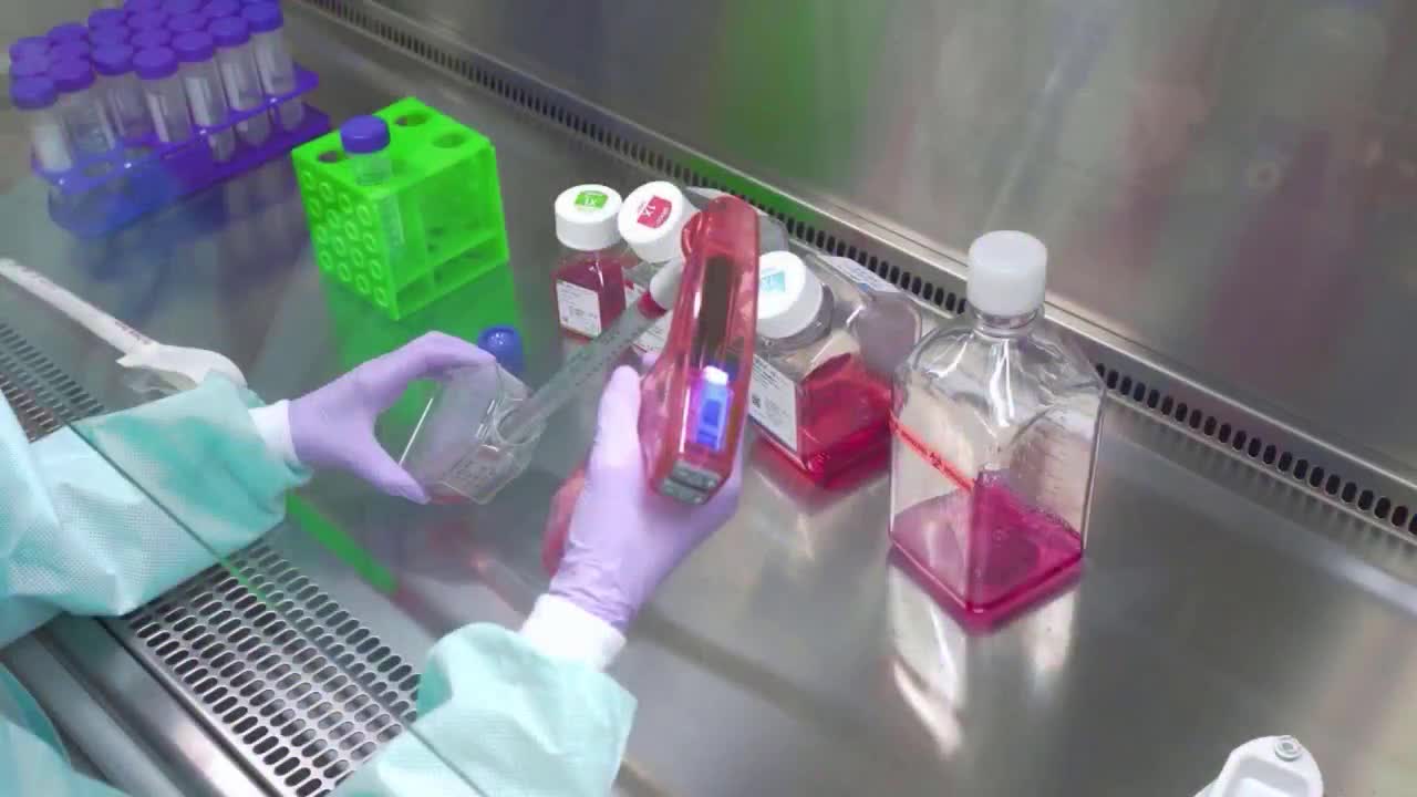 The Truth About Viruses