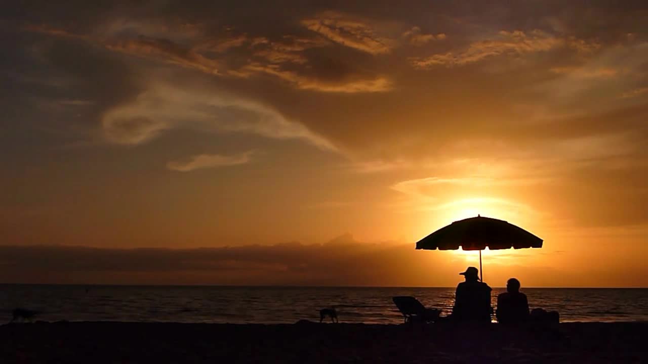 Sunset Couple With Dogs At Beach