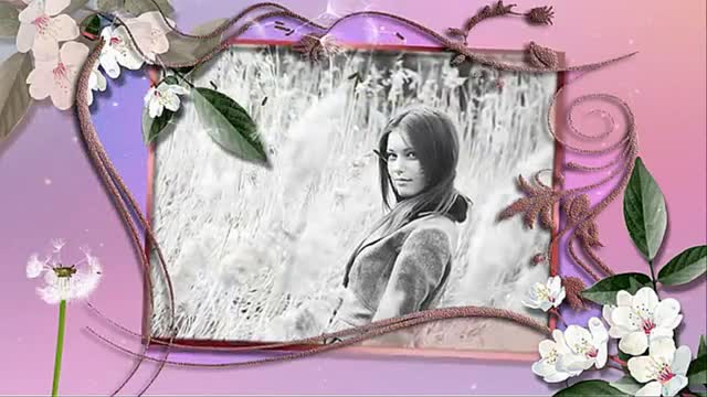 4033_ProShow Producer твой день рождения