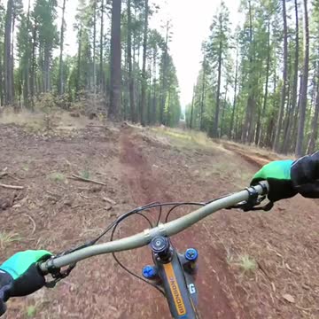 MTB Bombin Hills