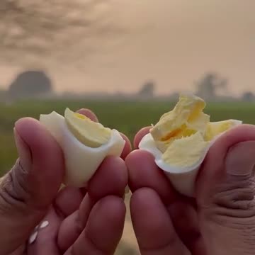 How to cook eggs dumpukht very simple idea