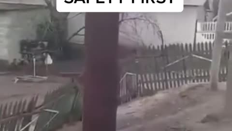 Safety first 😂 funny Dog clips