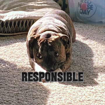 Don’t ever feel bad