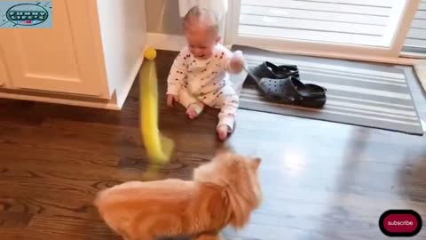 Baby and Cat Fun and Cute #7 - Funny Baby Video! funny baby