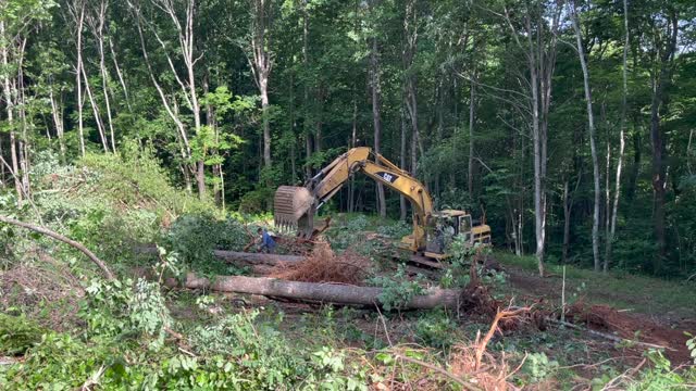 Building a house in the woods.