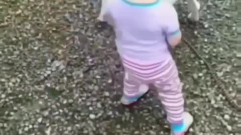 Cute animal behavior makes you happy