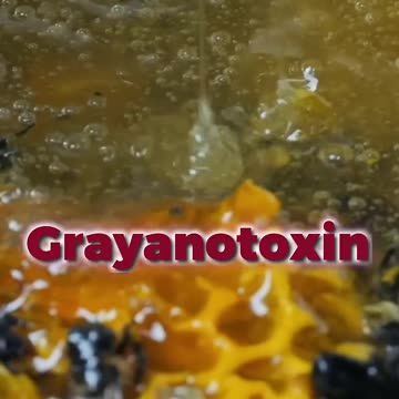 #facts #usefull video #knowledge #viral