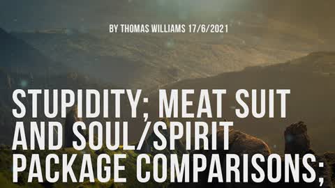 Stupidity; Meat suit and soul-spirit package comparisons;