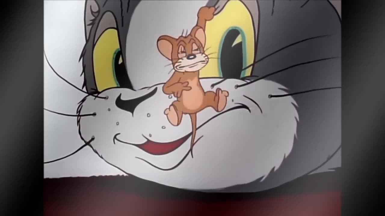 Tom and Jerry Episode 1 watch and Share