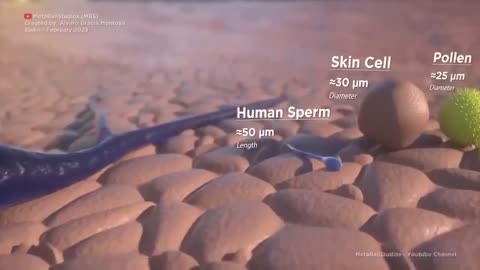 Mask mandates are back.