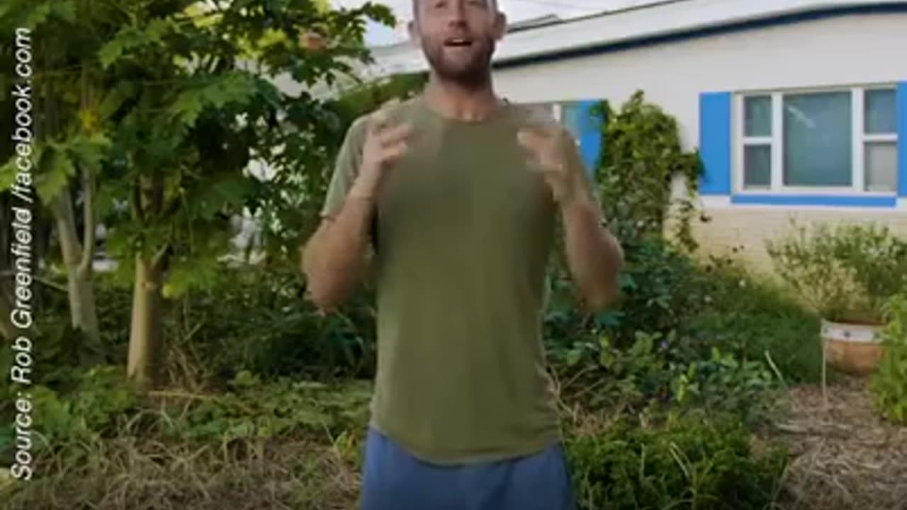 Kako si pridelati svojo hrano brez lastne zemlje?