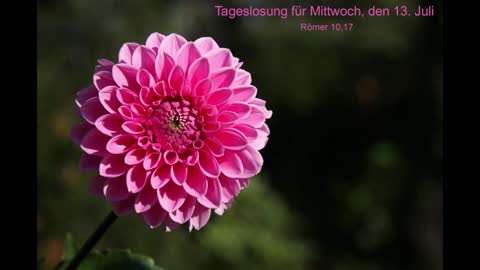 Tageslosung für Mittwoch, den 13. Juli