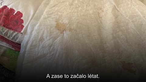 Obyvatel obce Dibrova na hranici LLR a DLR vypráví o pravidelném ostřelování ze strany Kyjeva