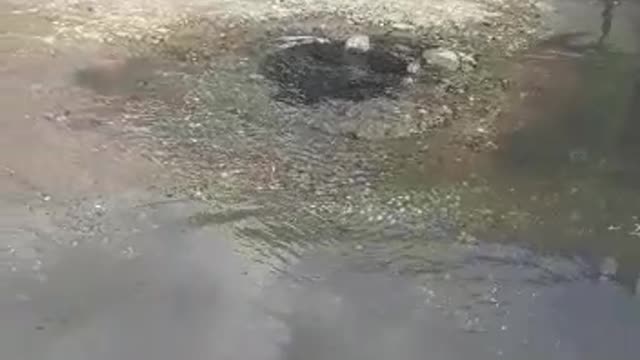 Problemas de alcantarillado en Olaya