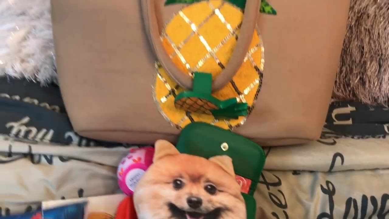 What's in my $9.99 Pineapple Bag from Ross w/ Poppy & Lucy