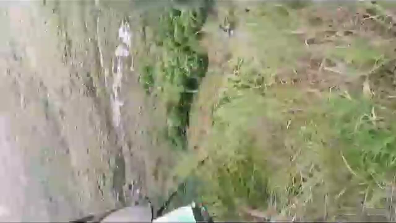 Brutal accident