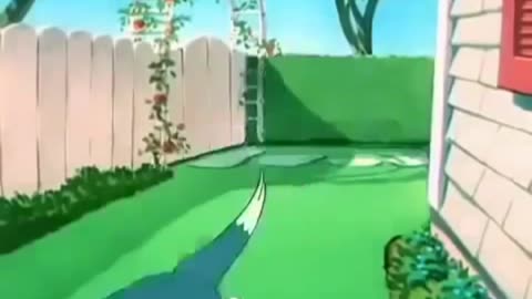 Tom&Jerry short video