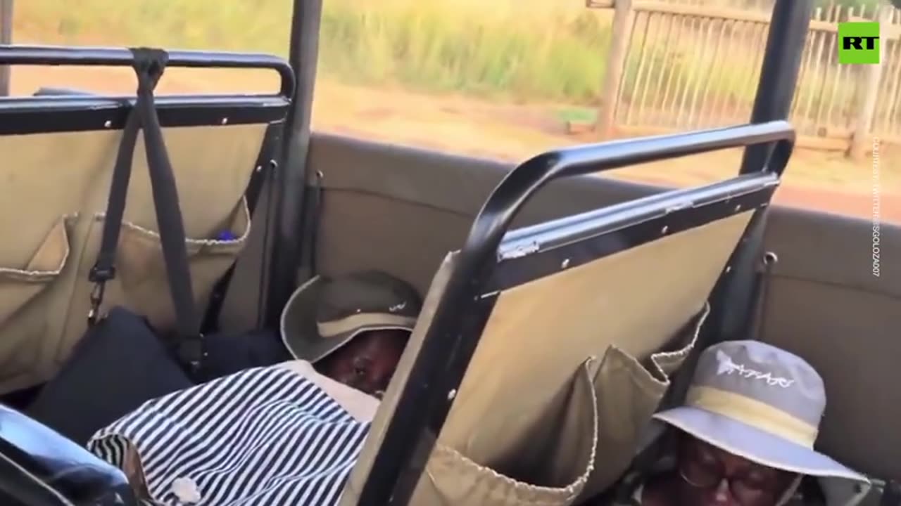 Angry elephant attacks safari truck