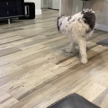 Worth watching! Look this😜