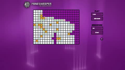 Game No. 31 - Minesweeper 20x15