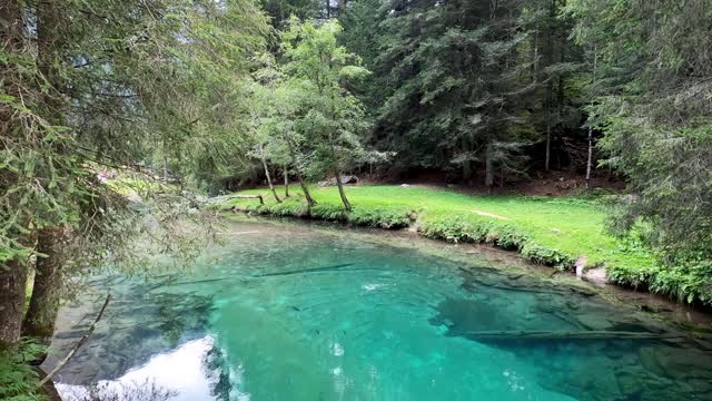 relaxing piano music with birds singing