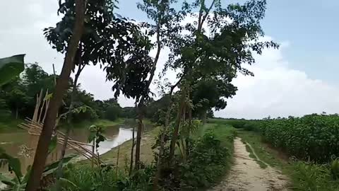 Beautiful scenery beside the small River in village life