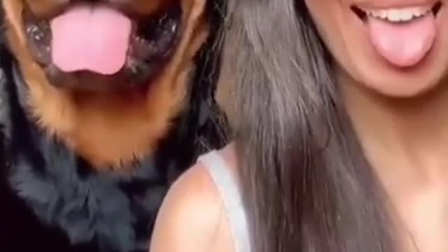 Her reaction 🥰🥰 Lovely Rottweiler #shorts #rottweiler #dog