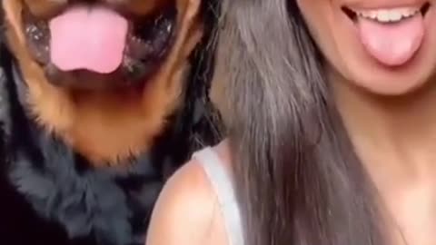 Her reaction 🥰🥰 Lovely Rottweiler #shorts #rottweiler #dog