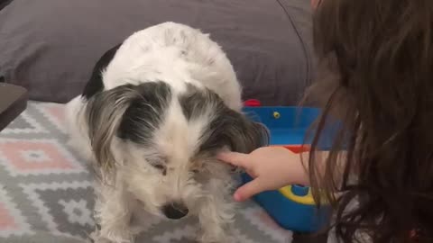 Learning to be gentle with the puppies