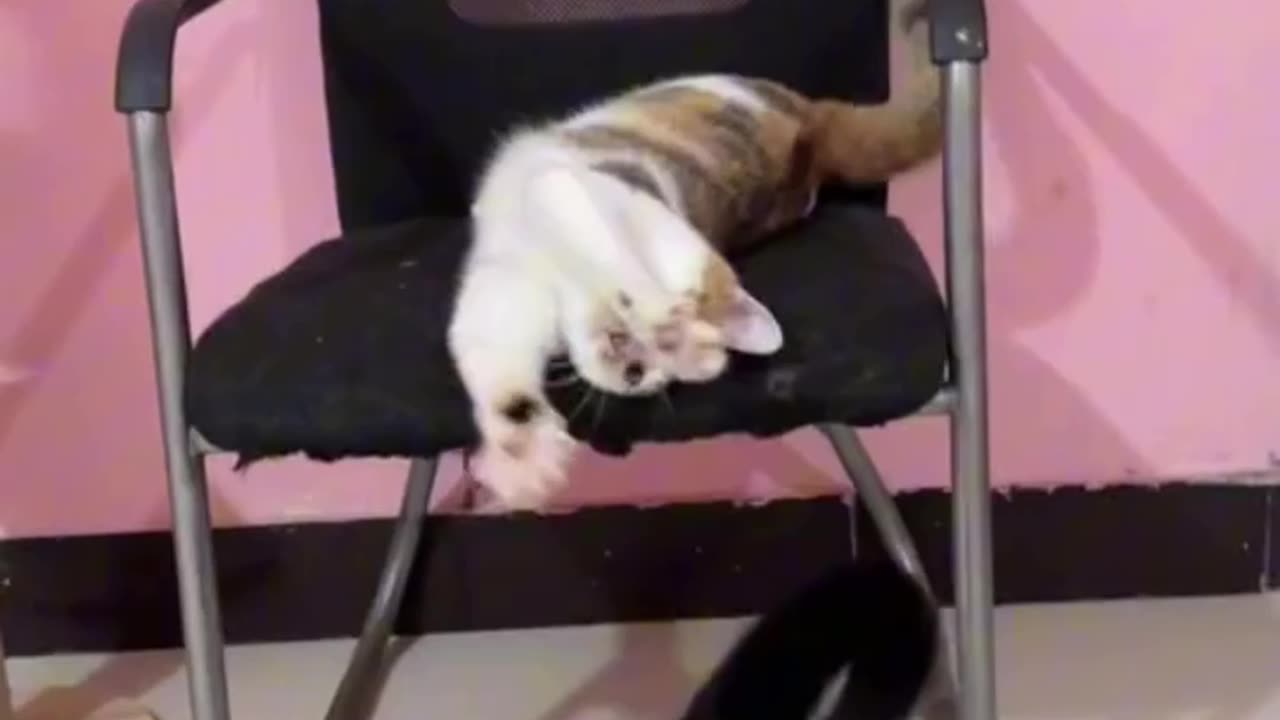 Is that spot taken 🤣🤣