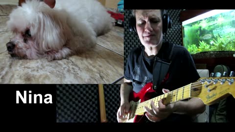 Relax Nina (Music for dogs) Edu Bettoni