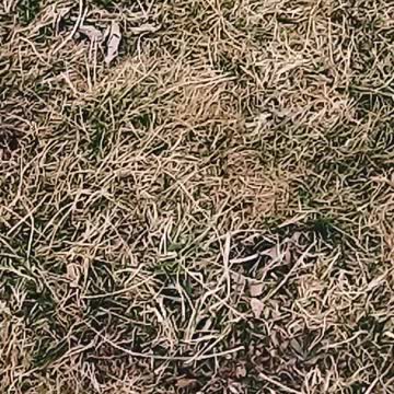 First try with an editing video app enjoy