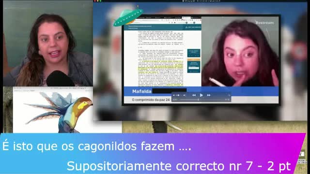 SCN7 - é isto que os cagonildos fazem