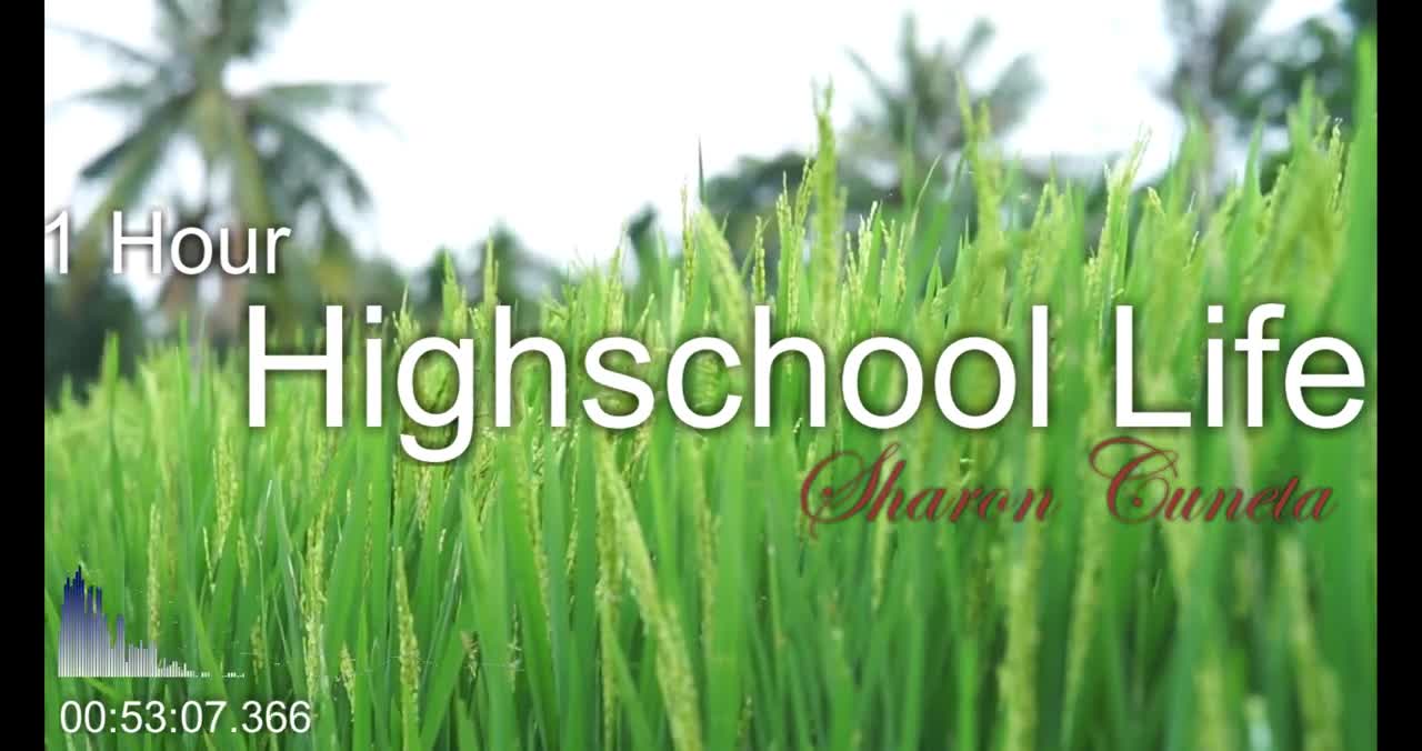 Highschool Life - Nonstop 1 Hour Music